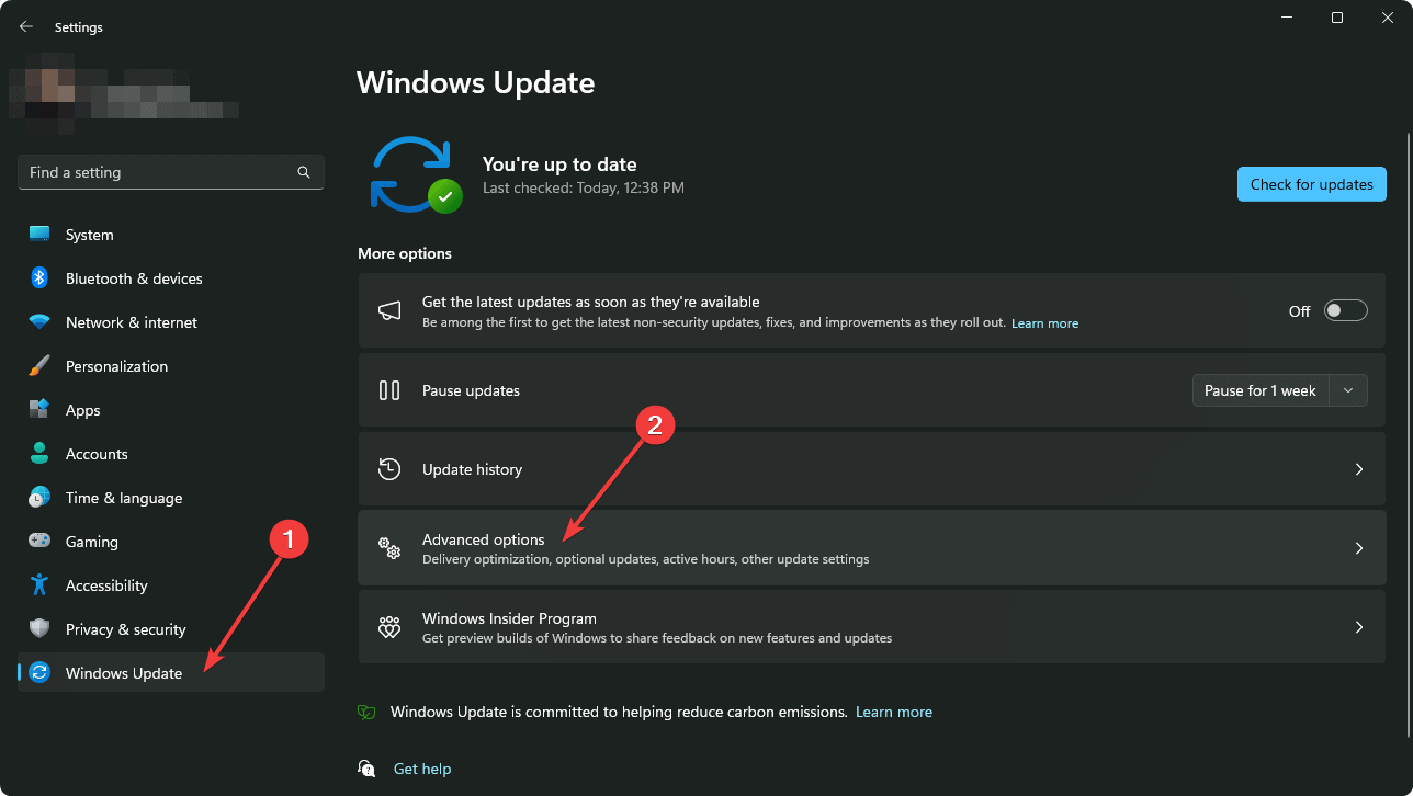 Going advanced options windows 11 update settings