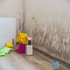 Dehumidifier Mold Problem