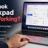 Macbook Trackpad Not Working