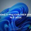 Windows 11 File Explorer dynamic file sizes