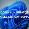 Windows 11 Narrator HID braille display support