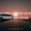 Windows 11 Voice Access Voice Isolation
