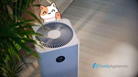 How air purifier works featured
