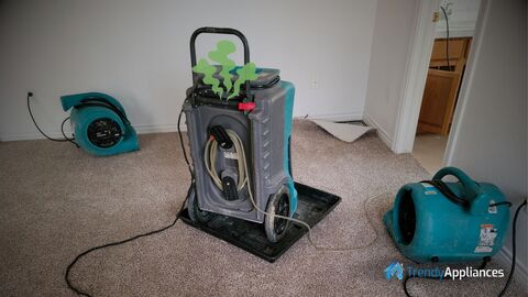 Dehumidifier spreading bad smell