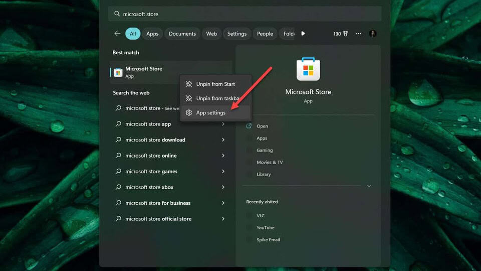 Going microsoft store app settings windows 11