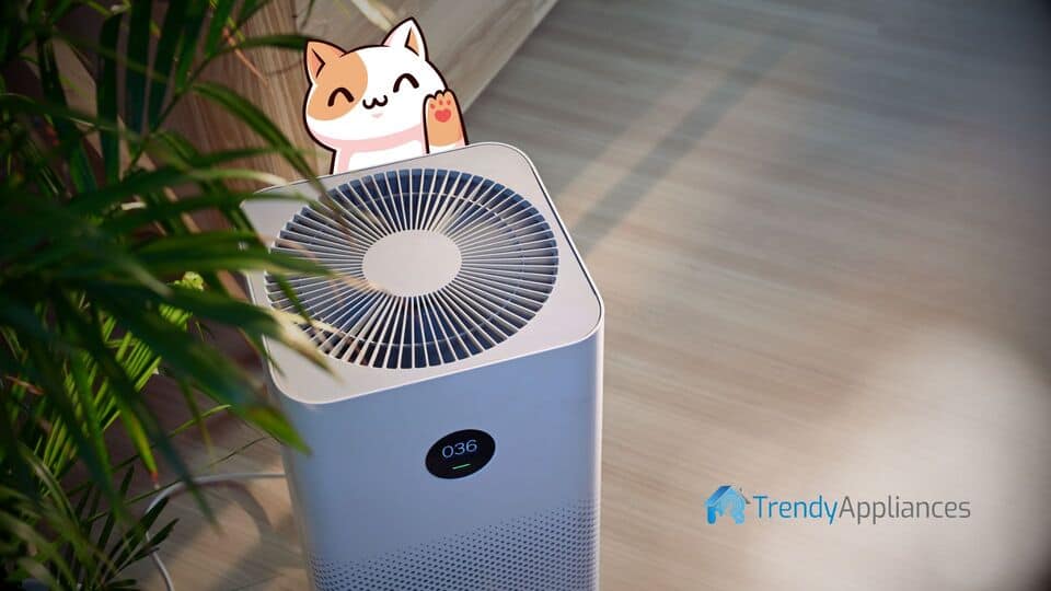 How air purifier works featured