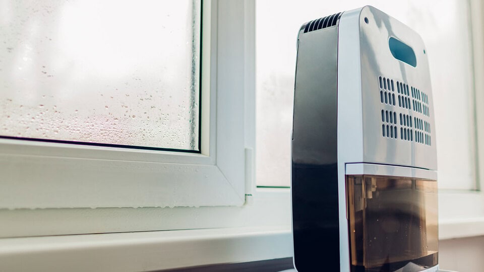 Bed Room Dehumidifiers Featured