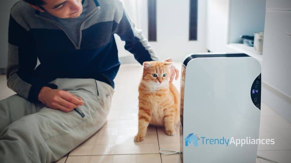 Dehumidifier Cat And Man