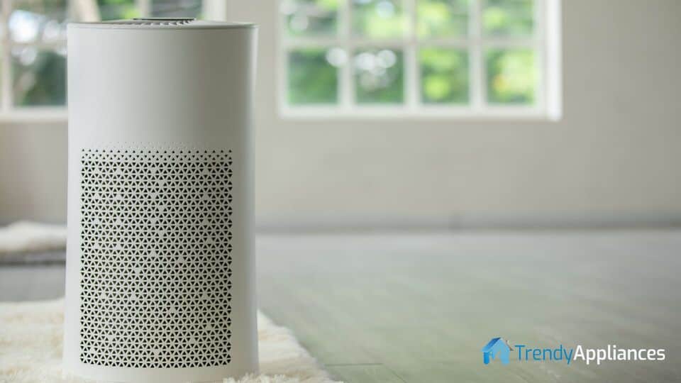 Air Purifier near Window Living Room