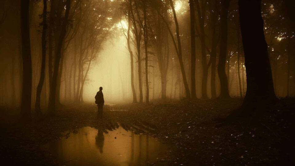Dark silhouette on edge of lake in mysterious forest with fog