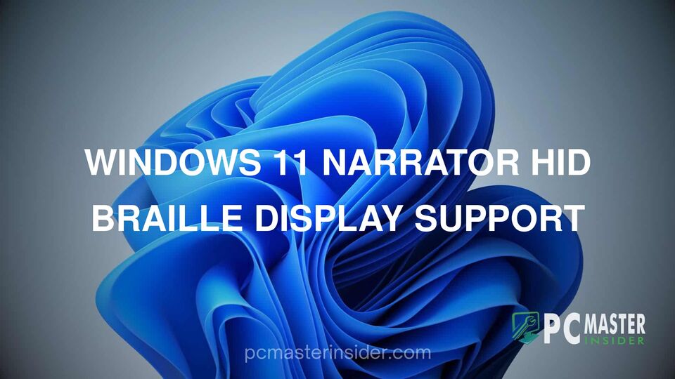 Windows 11 Narrator HID braille display support