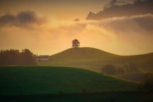 Generic natural landscape 1