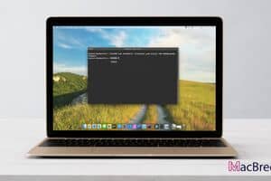How to Flush DNS on Mac