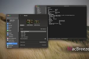 Fix MacOS Recognizes Monitor As TV