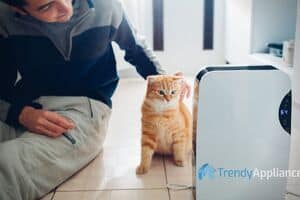 Dehumidifier Cat And Man