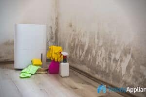 Dehumidifier Mold Problem